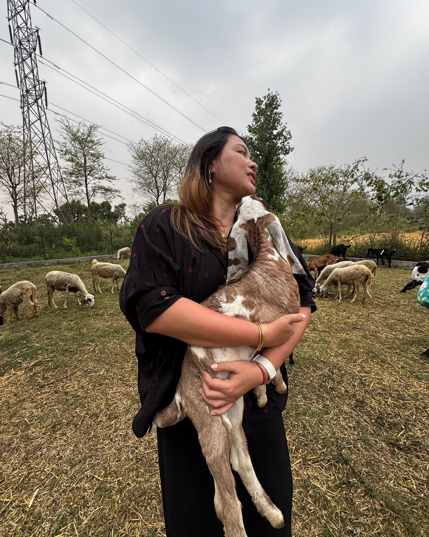 Fake Goat Stella Joins Real Farm Goats