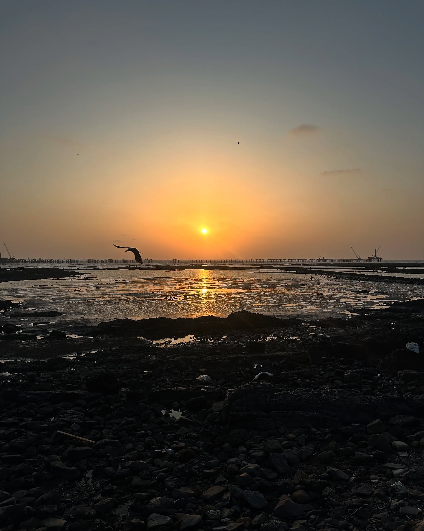 Film Screening, Scenic Views: London, Manali & Mumbai
