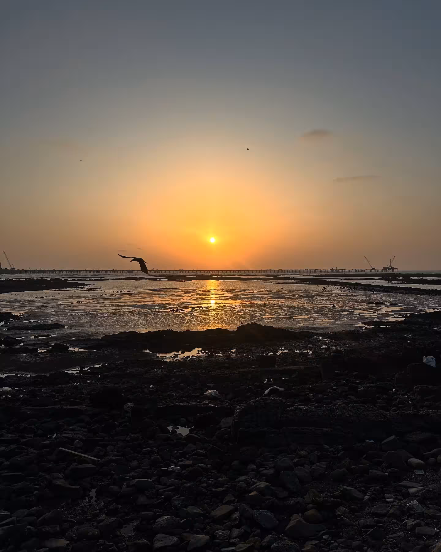 Film Screening, Scenic Views: London, Manali & Mumbai