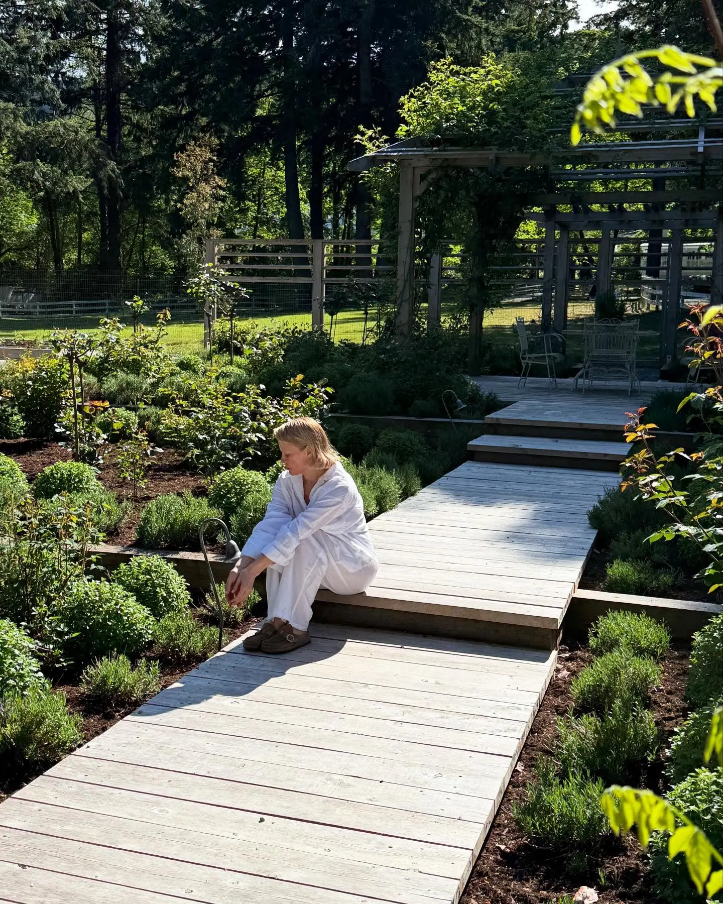 Garden Of New Beginnings Embracing Renewal, Pamela Anderson Reflects on Life's Transformative Moments Like a Garden