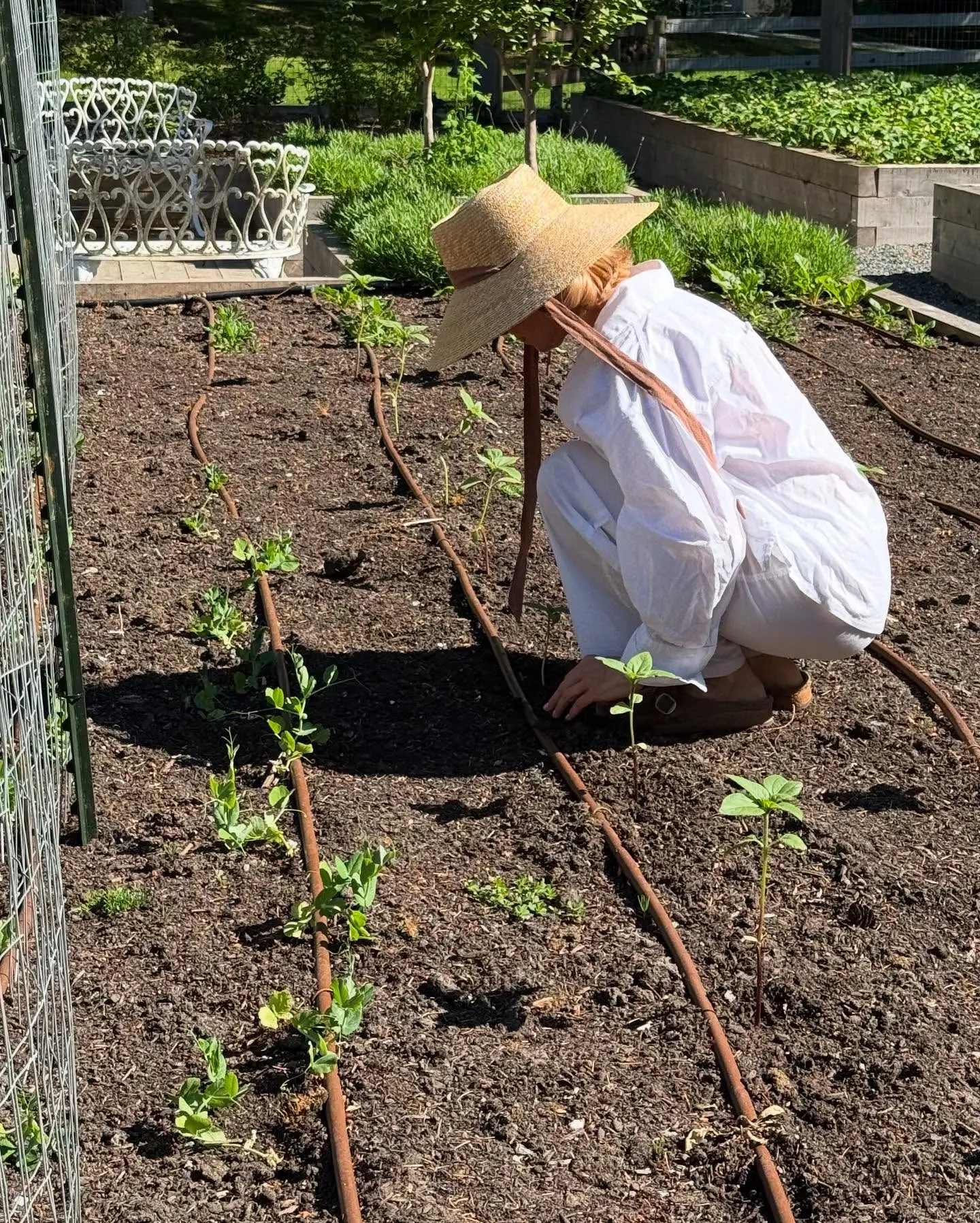 Garden Of New Beginnings