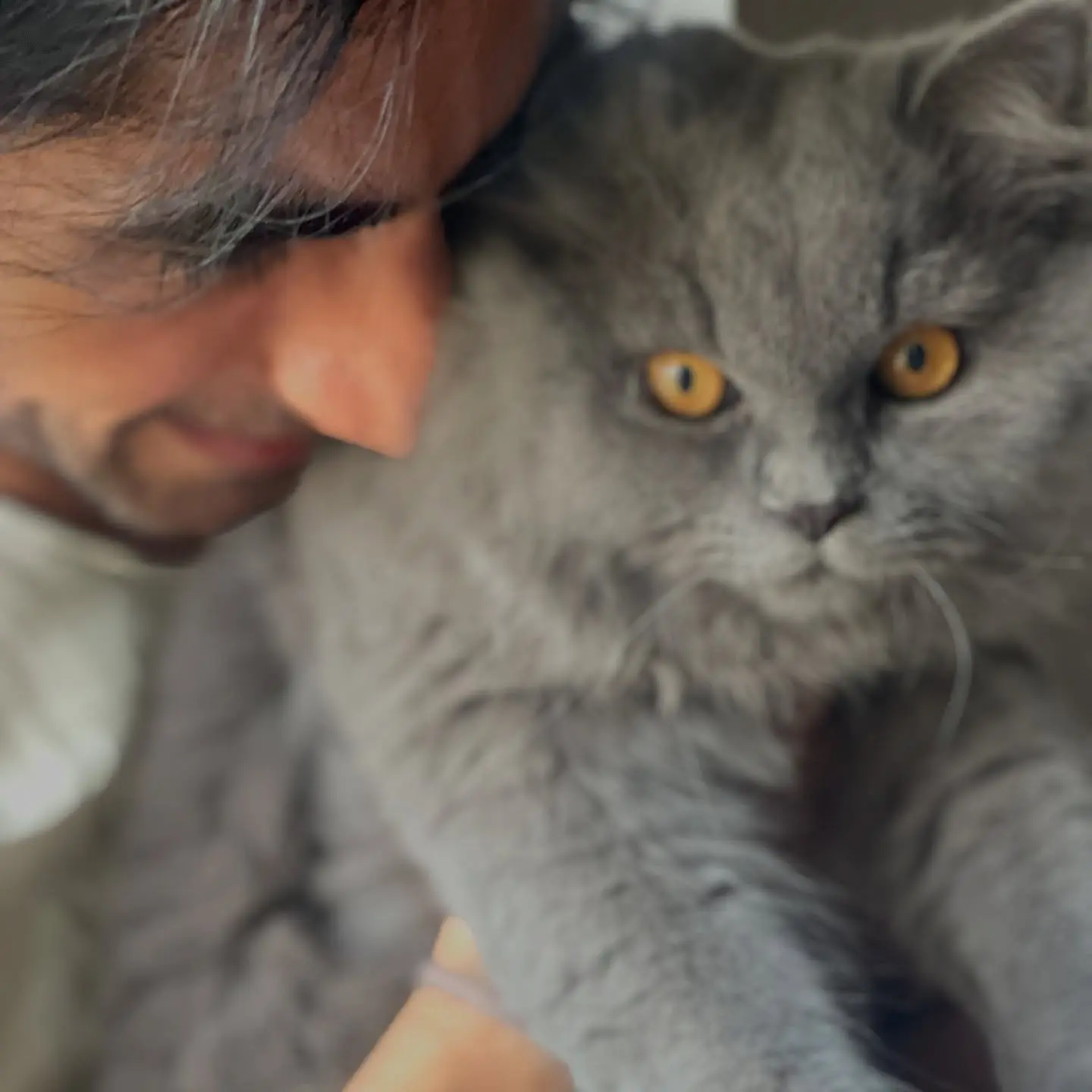 Harshad Chopda Shares Poignant Healing Message