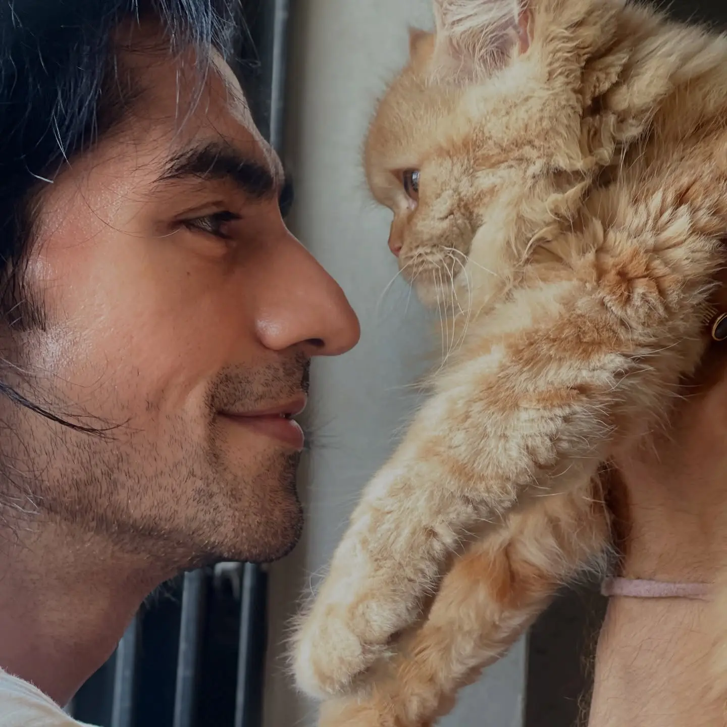 Harshad Chopda Shares Poignant Healing Message