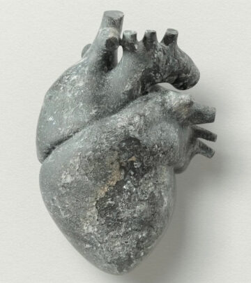 Heart Of Stone: Empathy Vs. Inhumanity