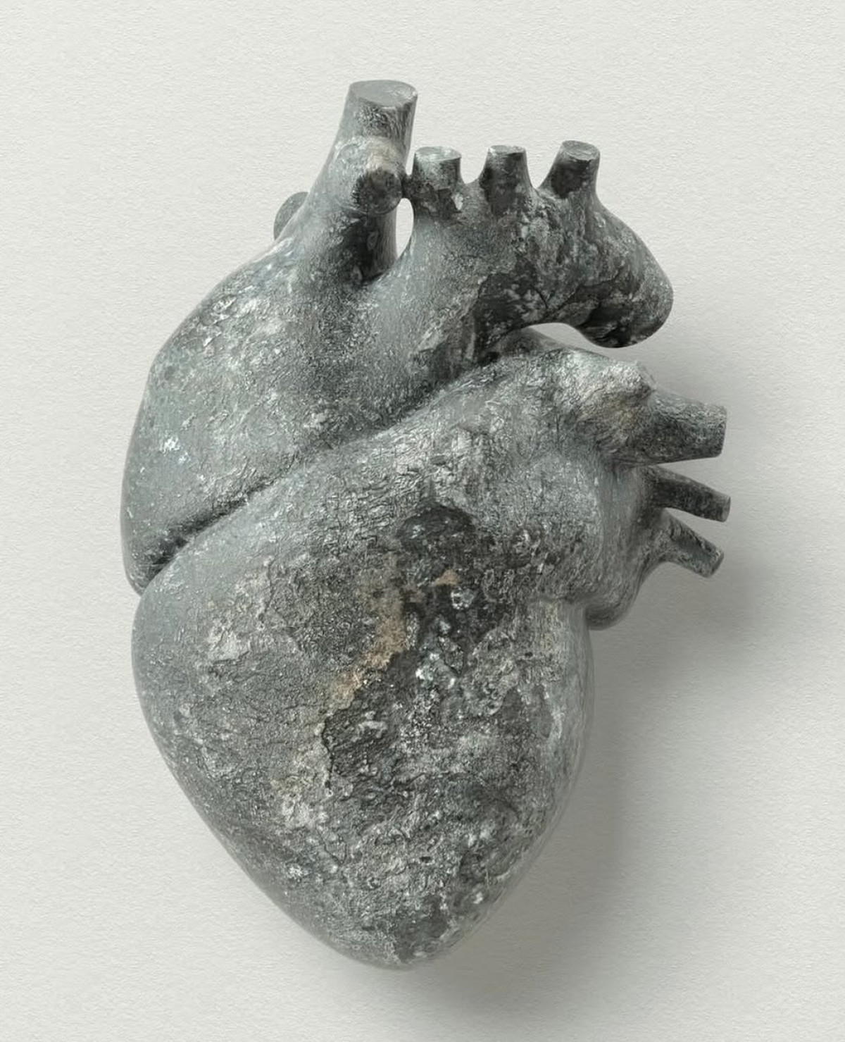 Heart Of Stone: Empathy Vs. Inhumanity A stirring reflection on hardened hearts in politics and society in a time of crisis now!