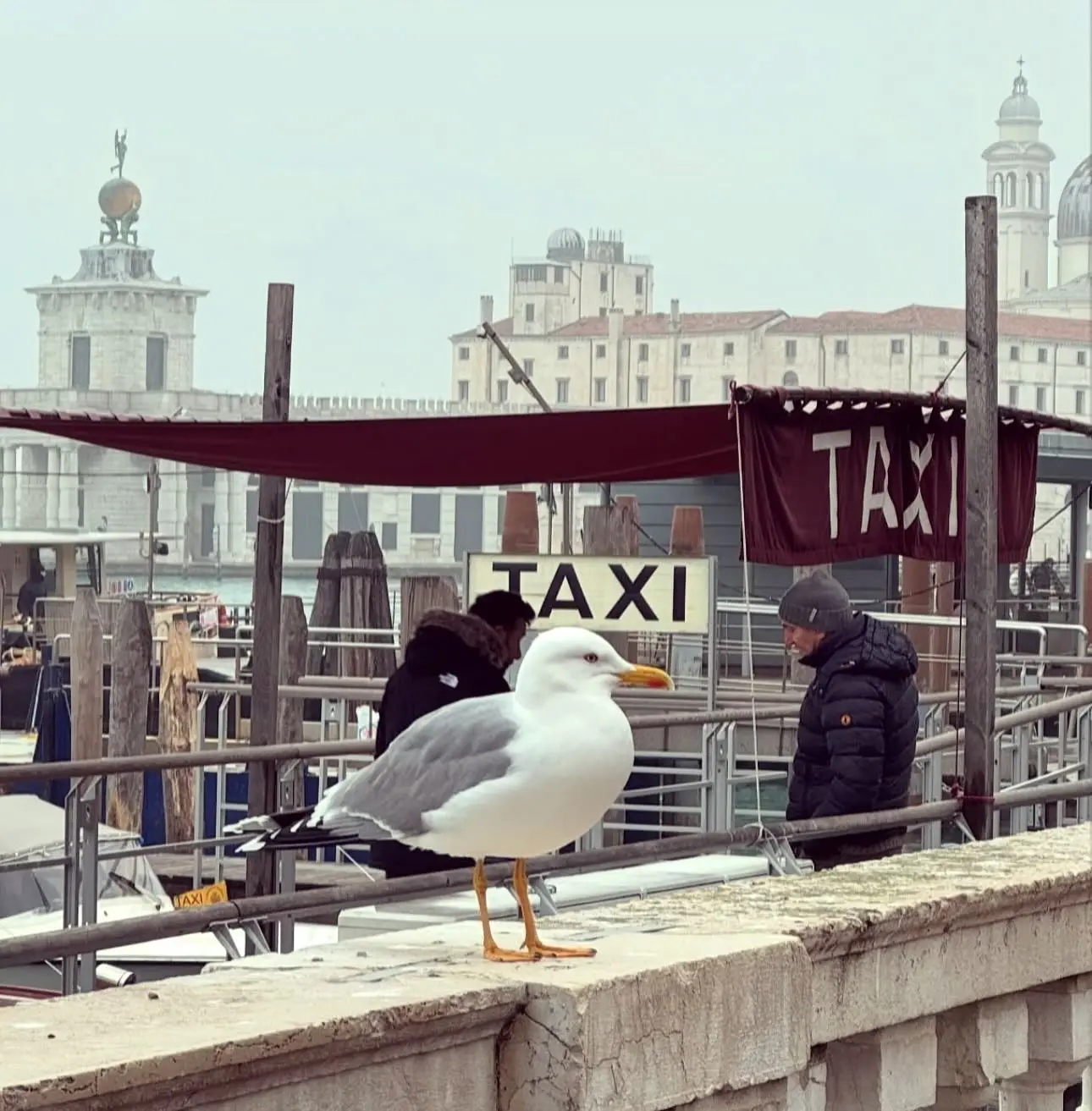 Heera Sohhal Explores Venice In Italy