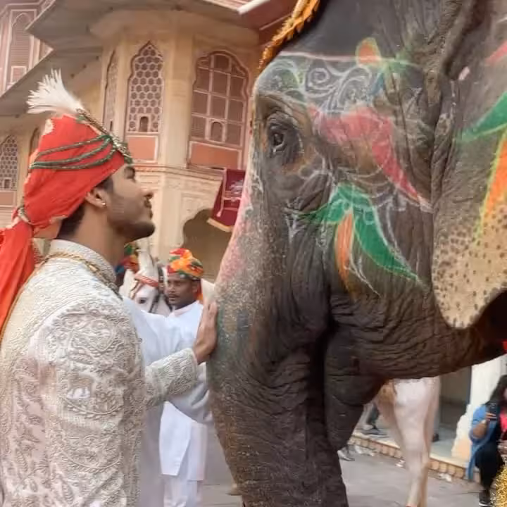 Ishaan Khatter Shares BTS Of Shirt Design Attempt