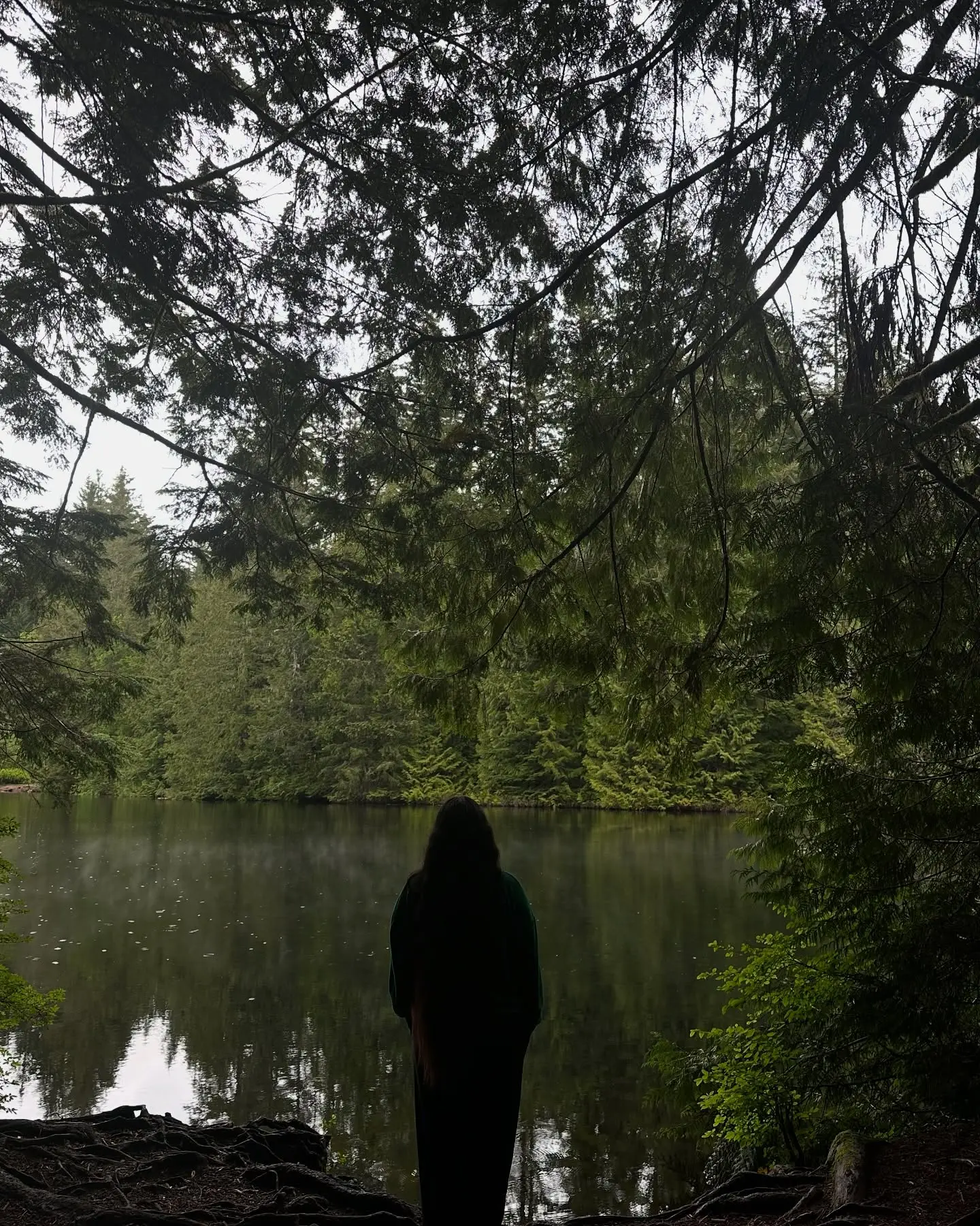 Kirpan Dhillon Embraces Nature's Charm