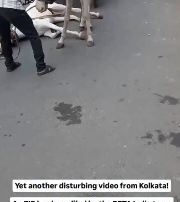 Swastika Mukherjee Joins Voices Calling For Compassionate Change In Animal Welfare