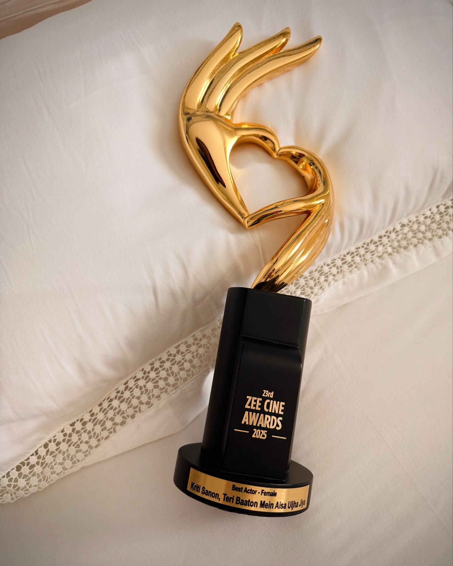 Kriti Sanon Celebrates Zee Cine Award Triumph
