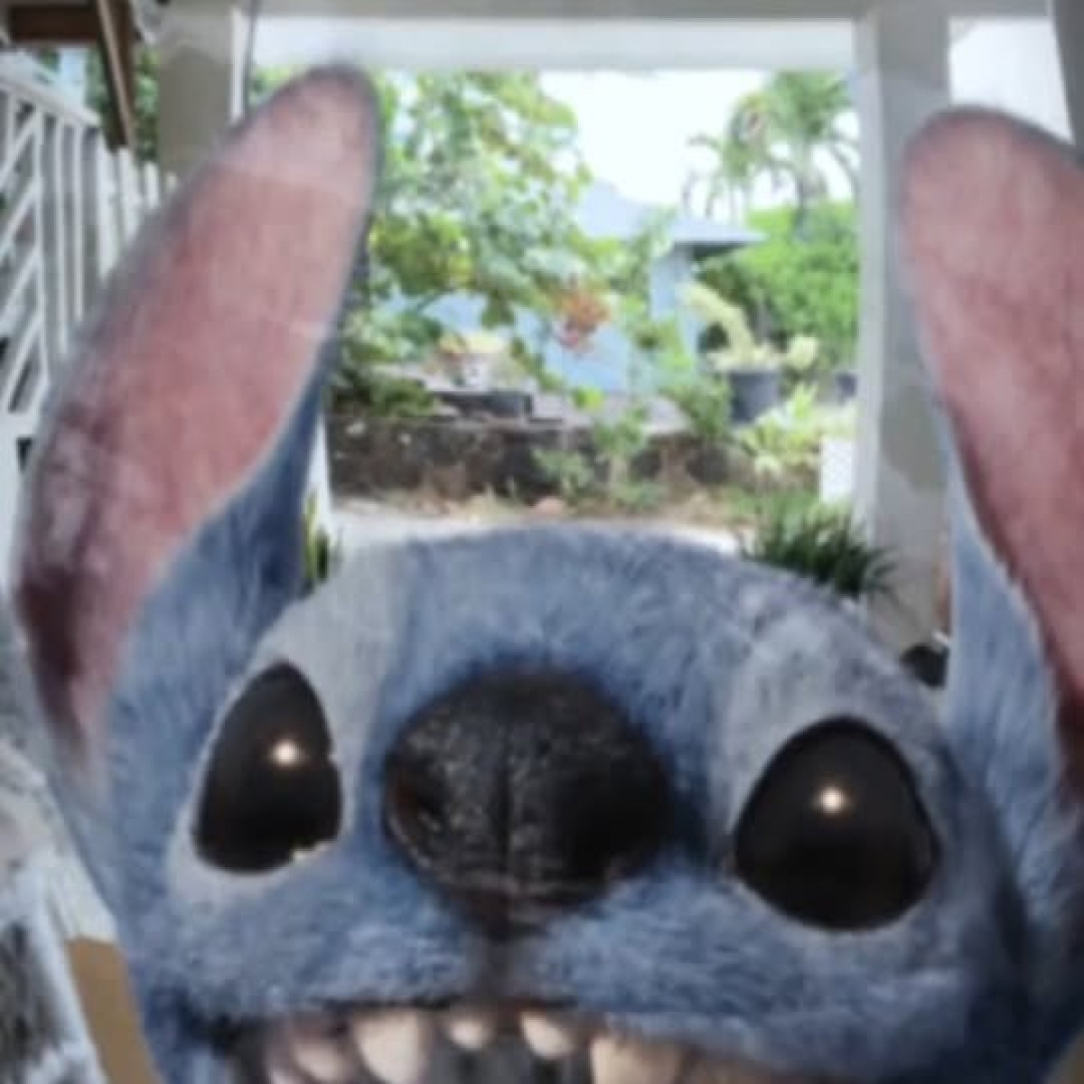 Lilo & Stitch Hits Cinemas May 23 Delight awaits as Disney invites fans for interstellar fun in a reimagined classic journey.