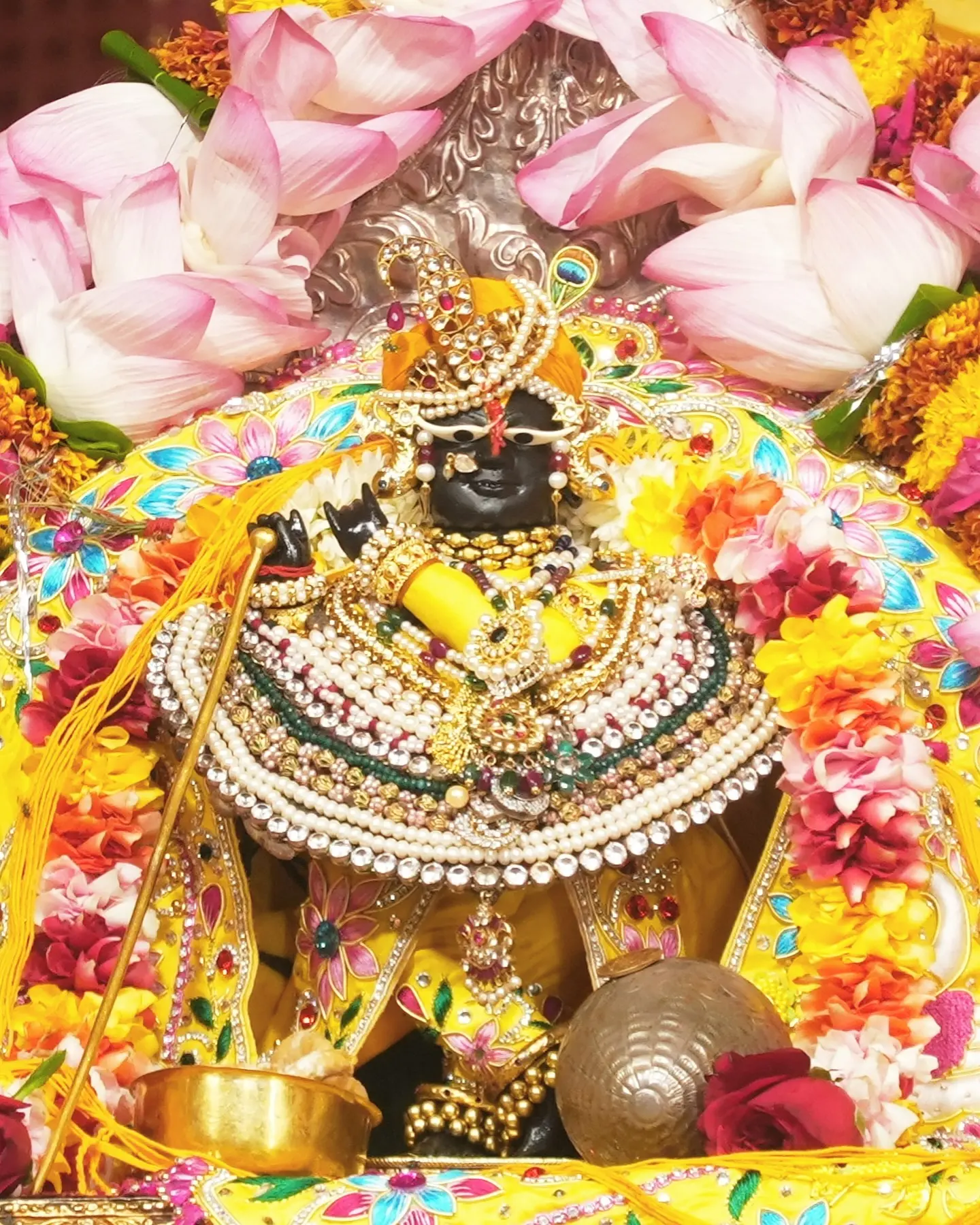 Love In Every Form: Divine Connection In Vrindavan