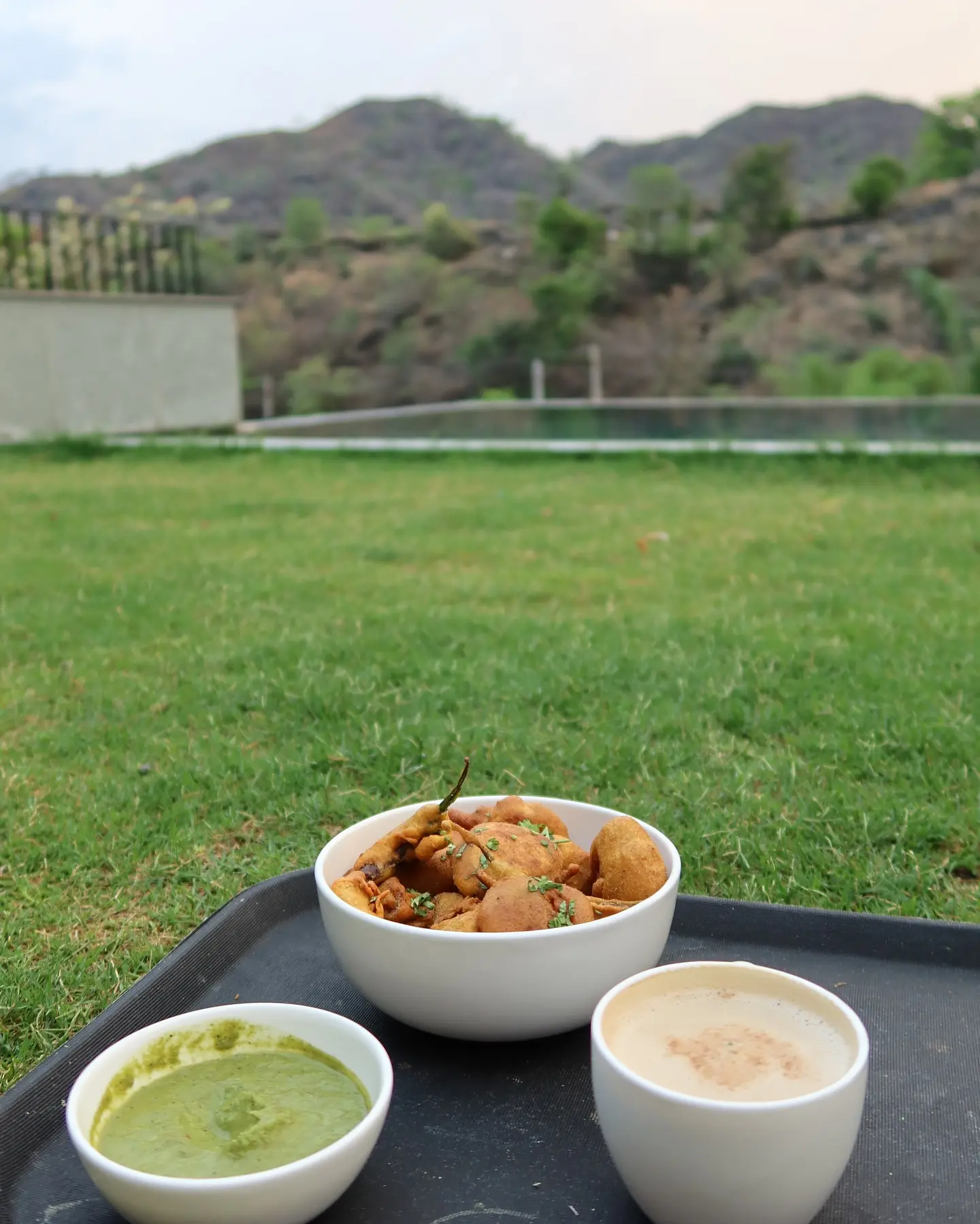 Magical Stay At Ikebana Udaipur