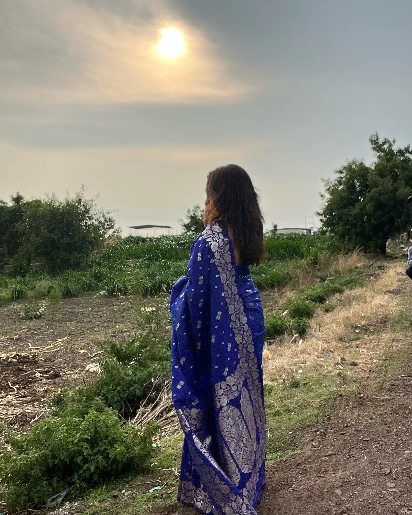 Manasi Naik Radiates Elegance in Savali Lifestyle Saree