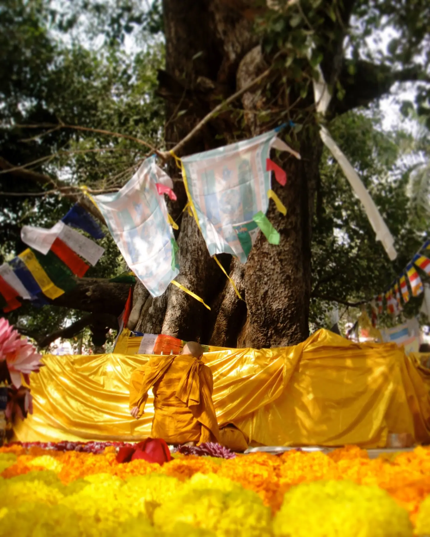 Meiyang Chang Embraces Spiritual Peace In Bodh Gaya