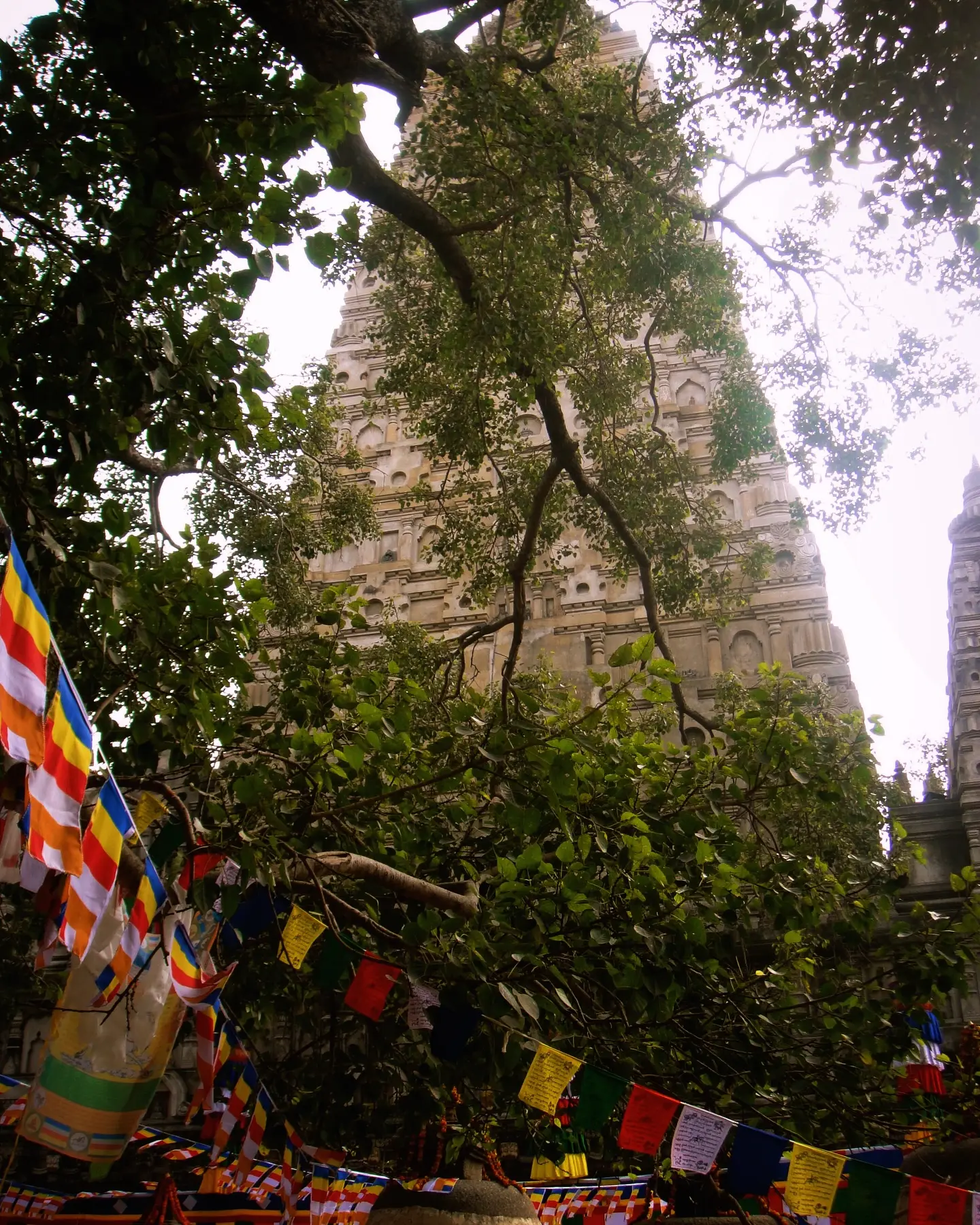 Meiyang Chang Embraces Spiritual Peace In Bodh Gaya