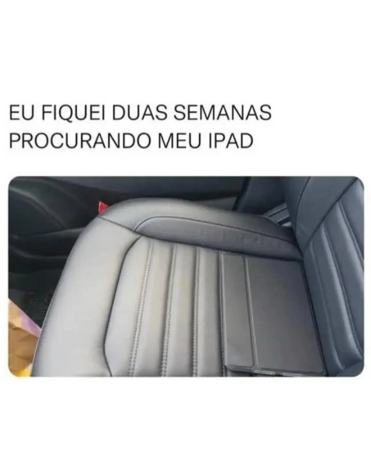 Meme Mania: Perrengue Chique's Random Compilation
