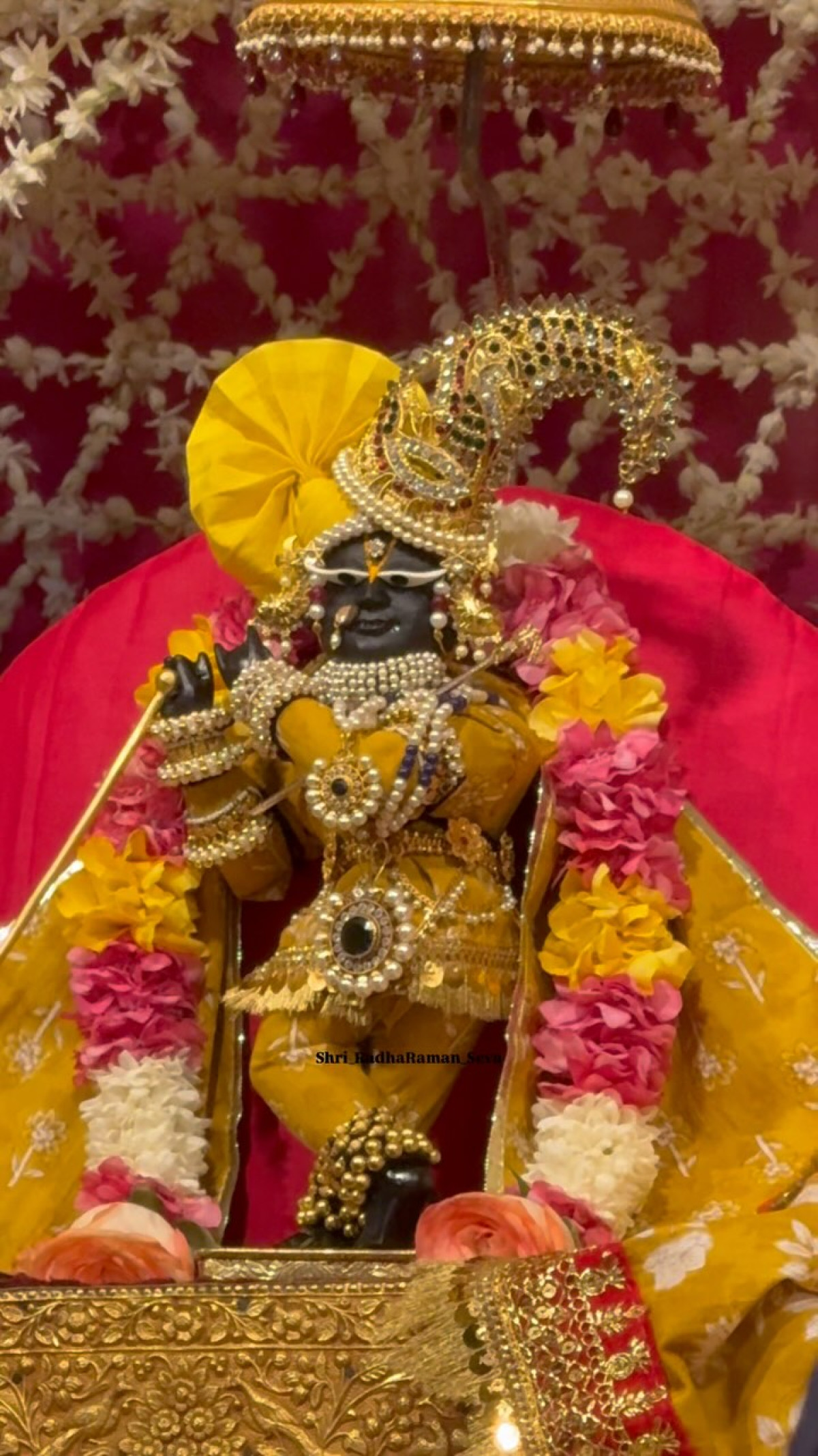 Sneha G Wagh honors Mohini Ekadashi with vibrant prayers, blending faith and devotion now.