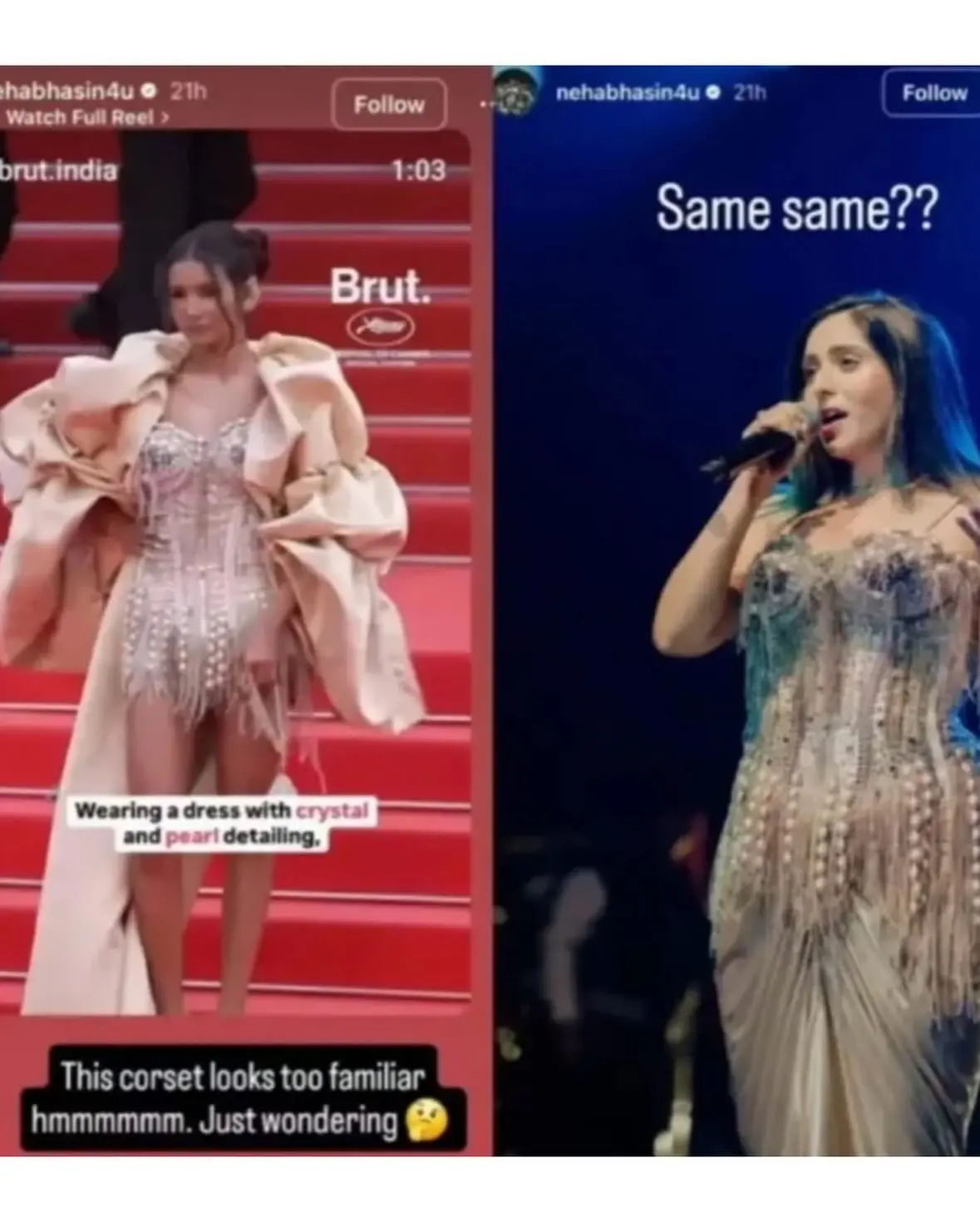 Neha Bhasin Accuses Nancy Tyagi of Copying Cannes Look