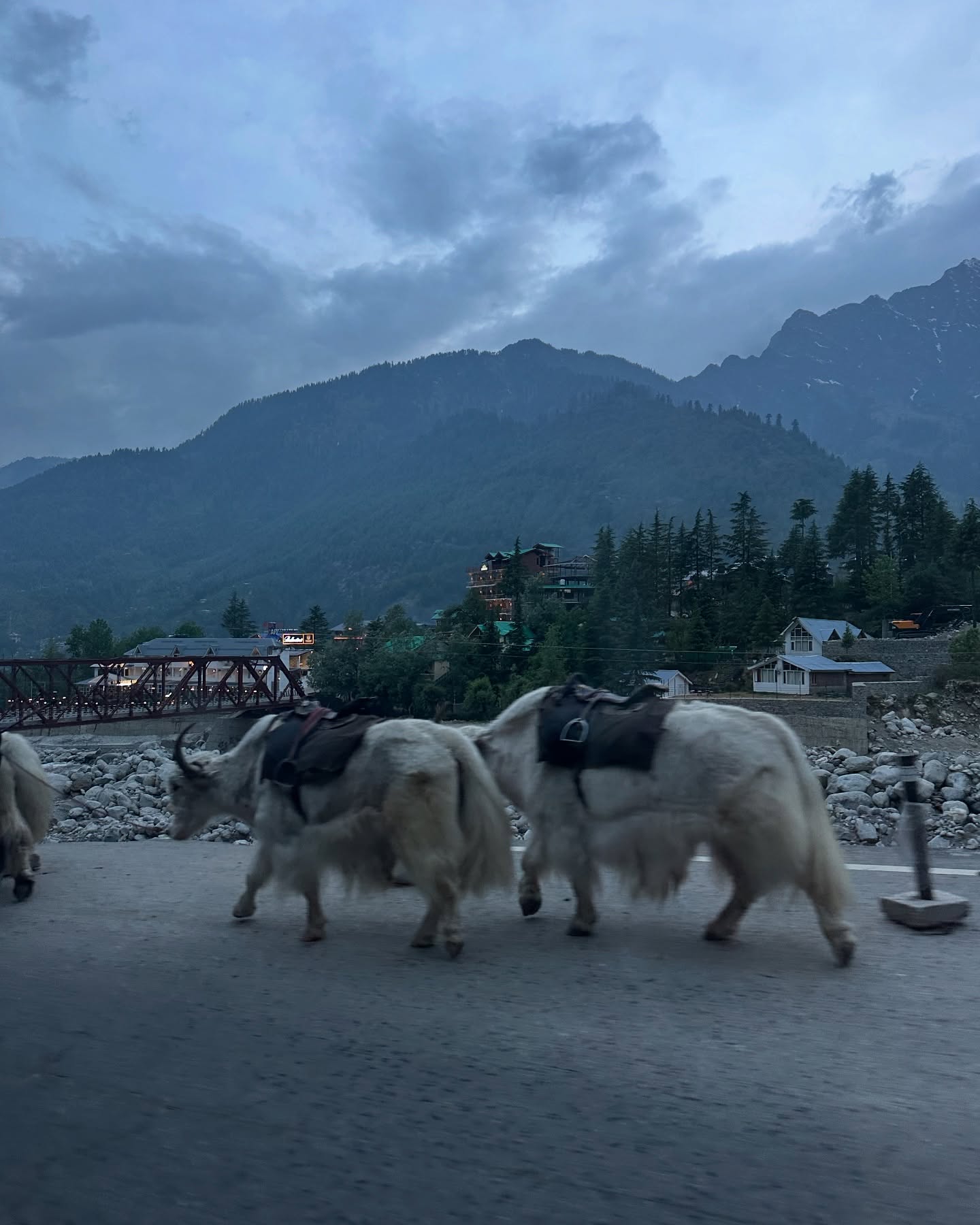 Neha Sharma’s Winter Escapade In The Mountains
