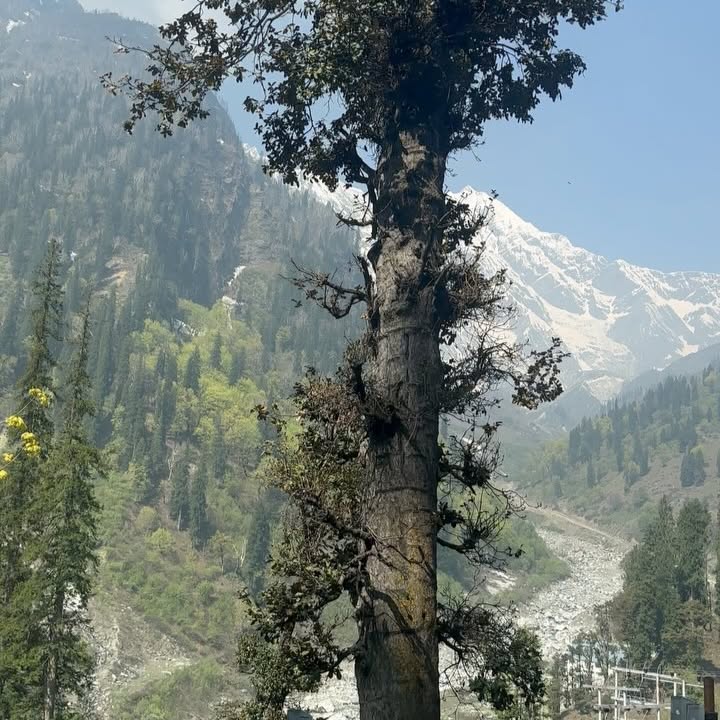 Neha Sharma’s Winter Escapade In The Mountains