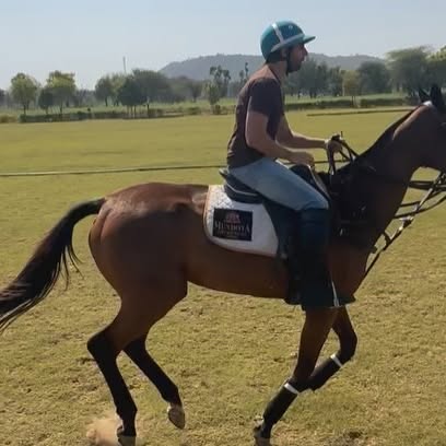 Netflix Polo Stunt: Vihaan Samat’s Horse Riding Journey