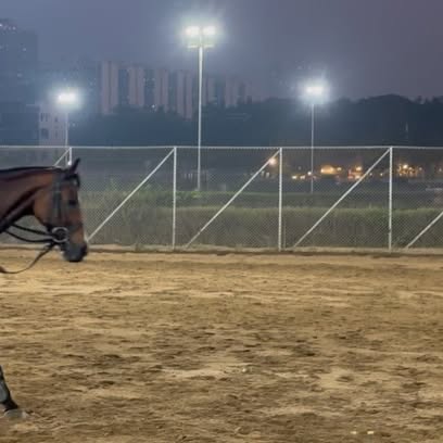 Netflix Polo Stunt: Vihaan Samat’s Horse Riding Journey
