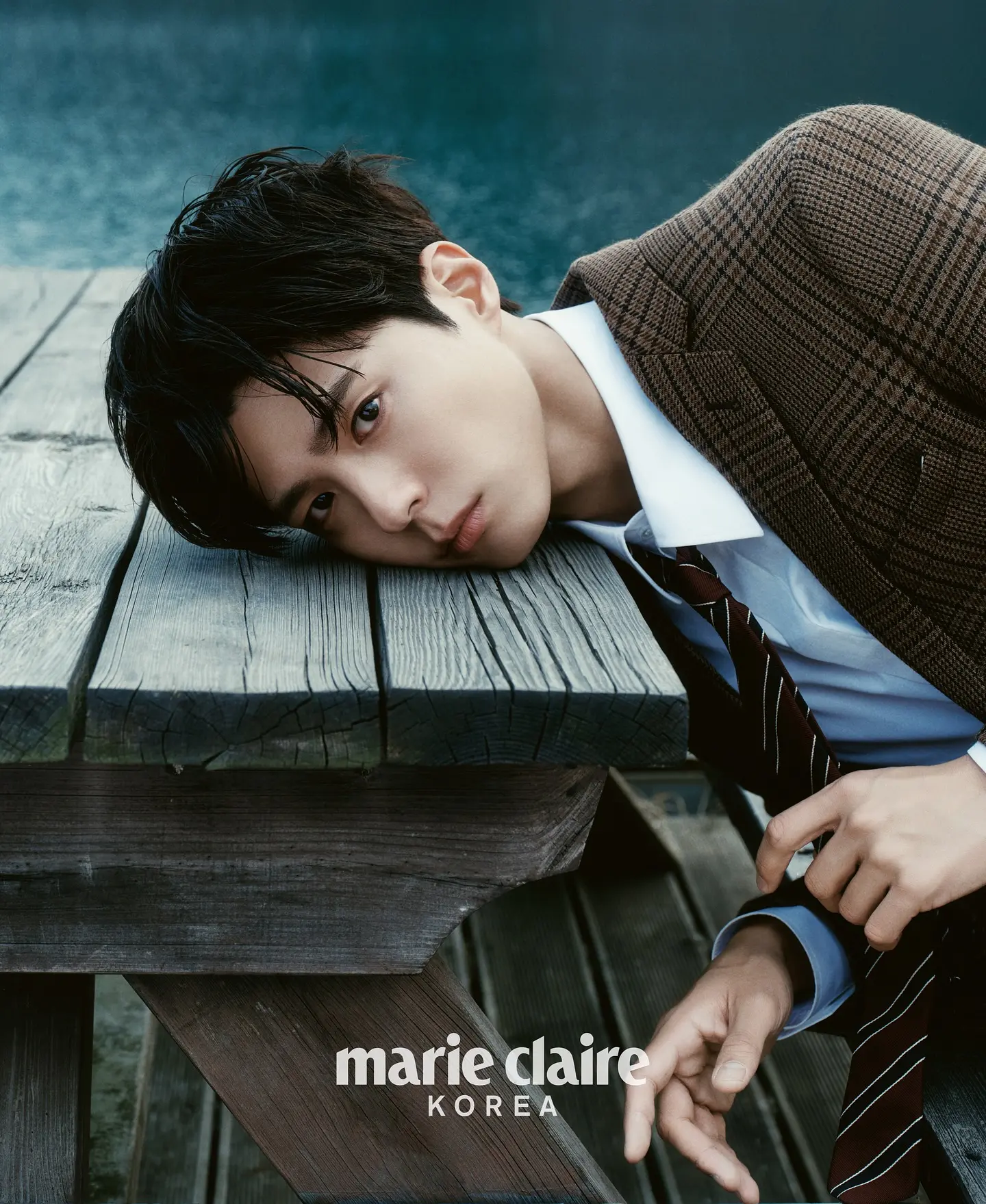Park Bo Gum Shines in CELINE Statement