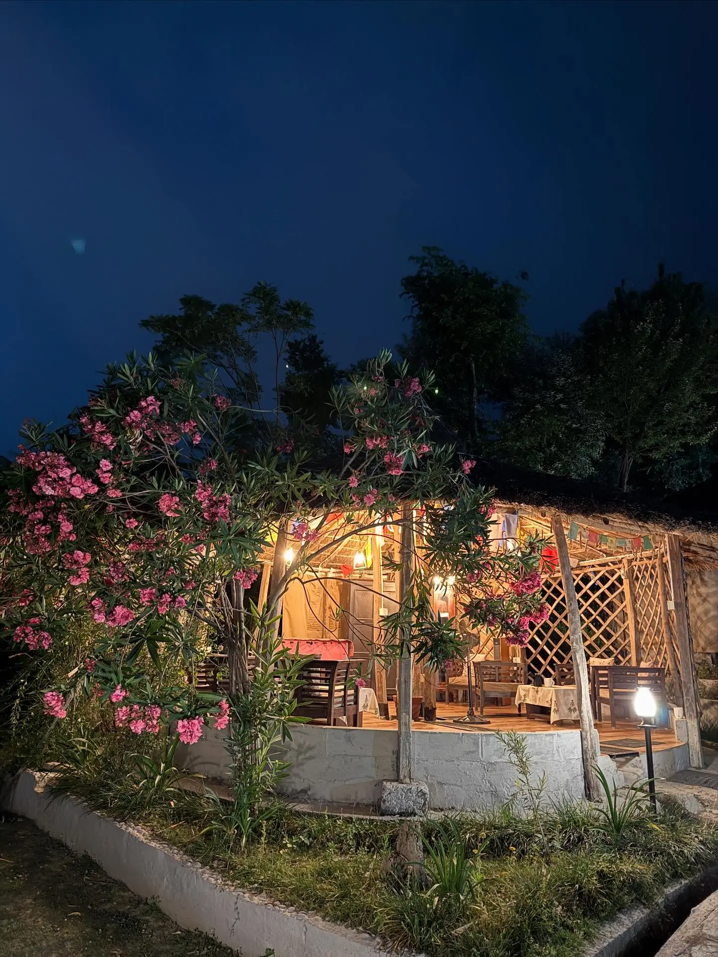 Prachi Tehlan's Transformative Dharamshala Retreat