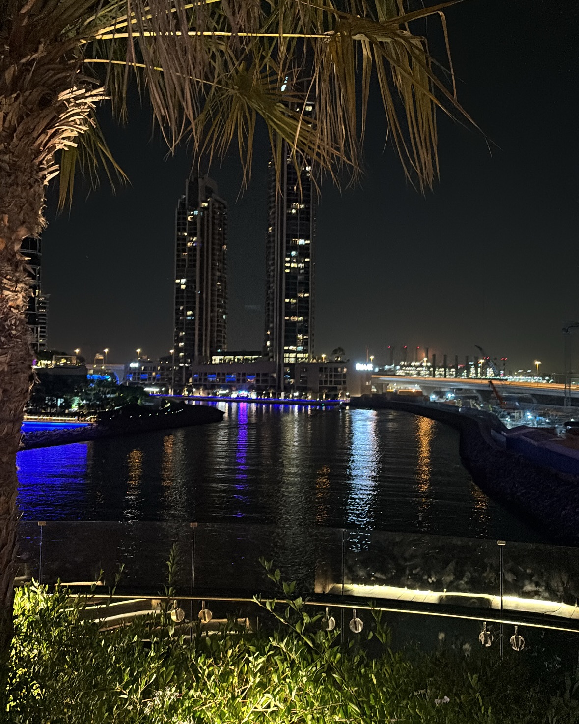Pranutan Bahl Shines In Dubai