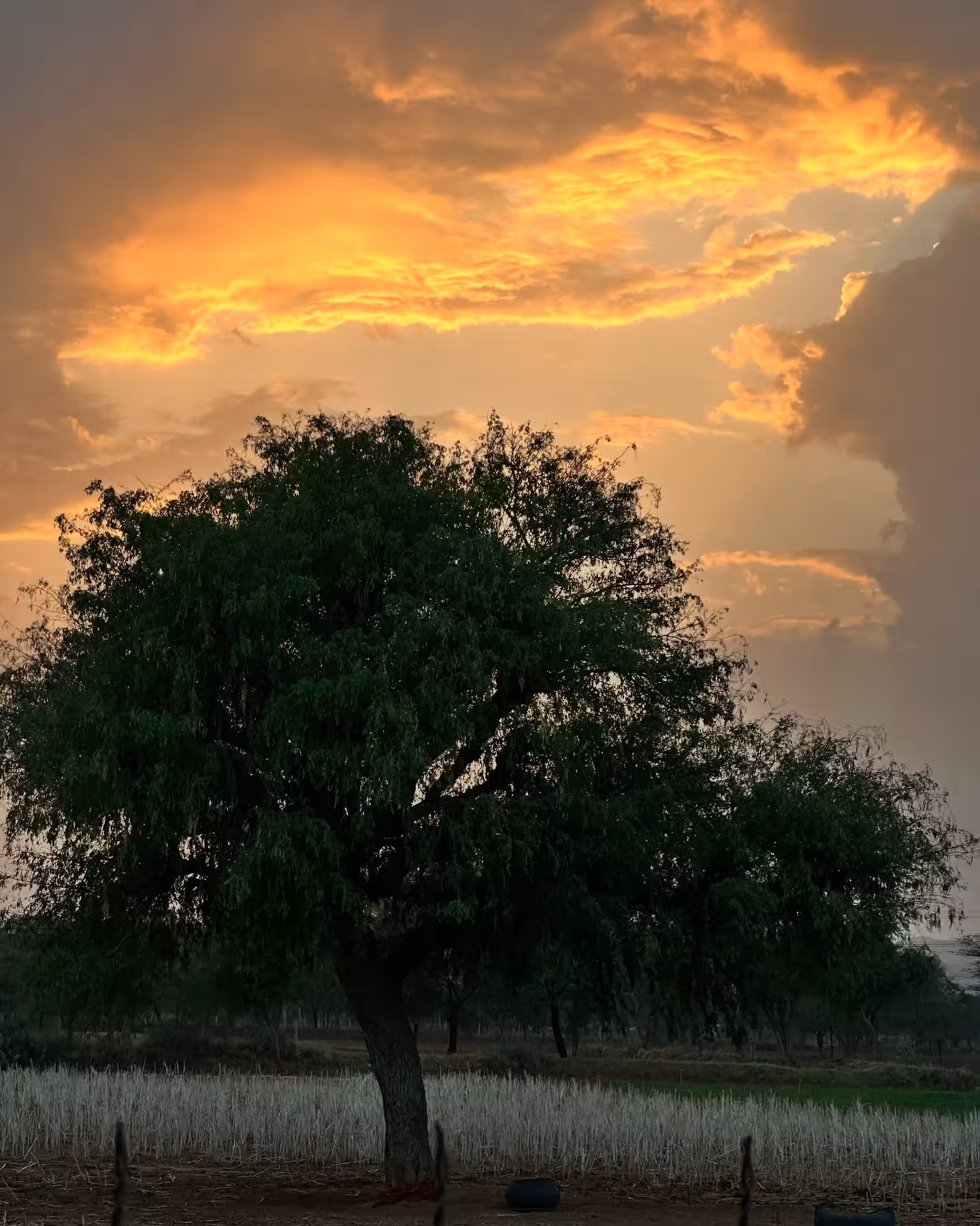 Rahgir Celebrates Village Colors on Instagram Rahgir unveils rustic village life; vibrant images capture charm amid nature's glow fully.