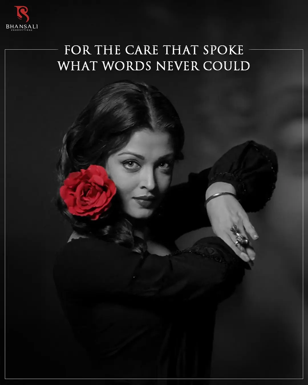 Roses Reveal Stories Of Beauty And Pain
