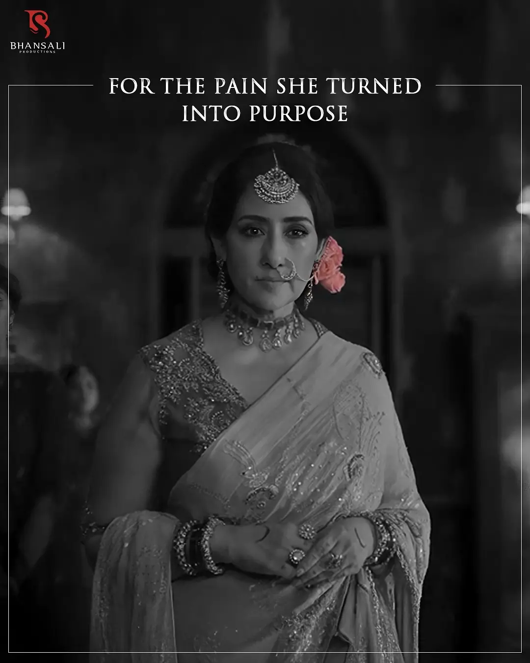 Roses Reveal Stories Of Beauty And Pain
