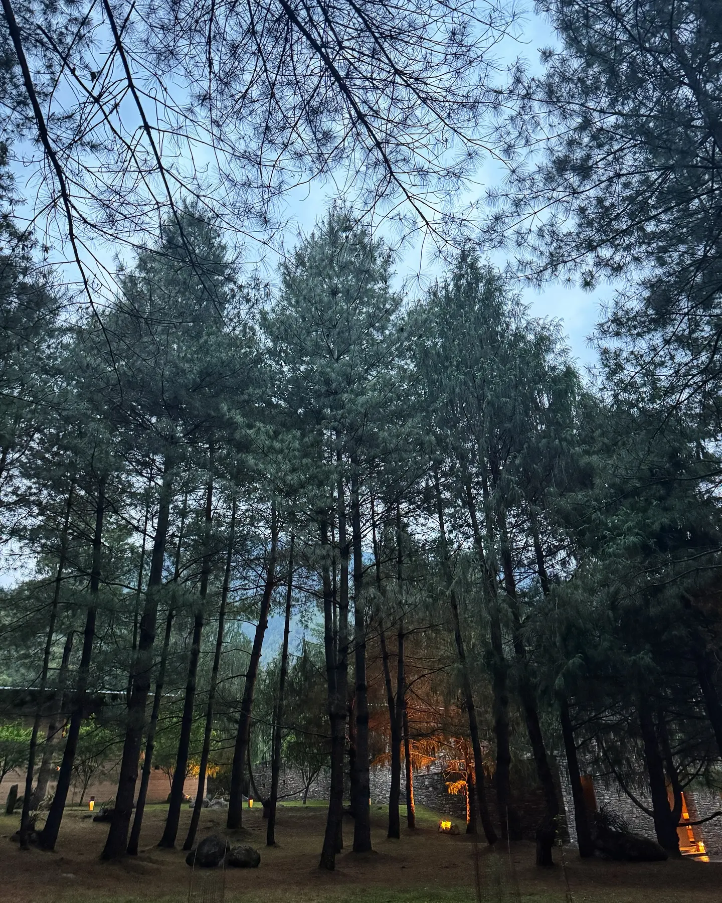 Rupali Dean’s Bhutan Escape: Mountain Breeze and Tall Trees