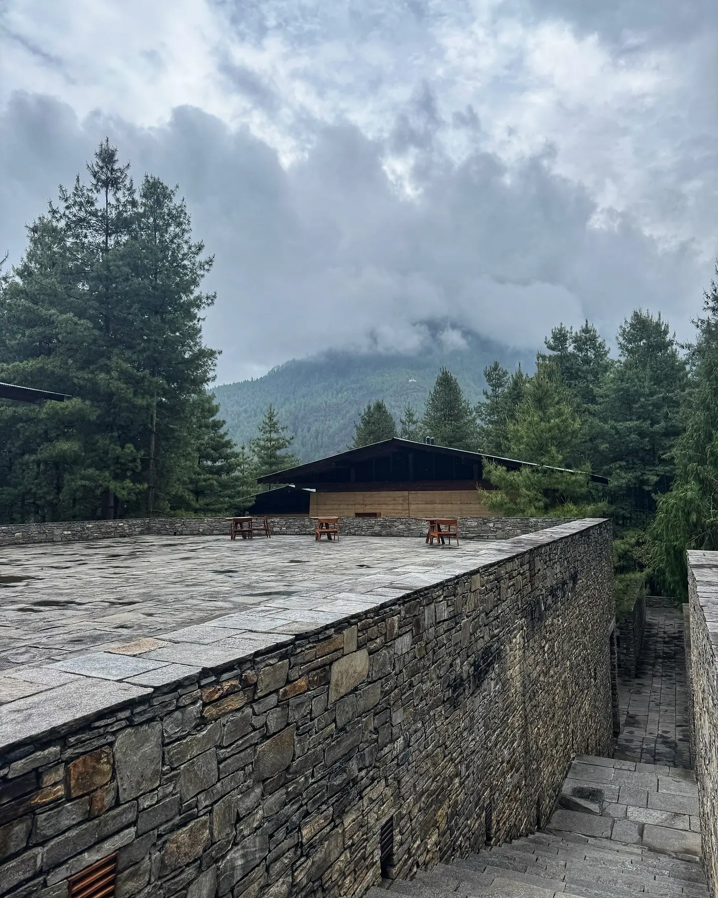 Rupali Dean’s Bhutan Escape: Mountain Breeze and Tall Trees