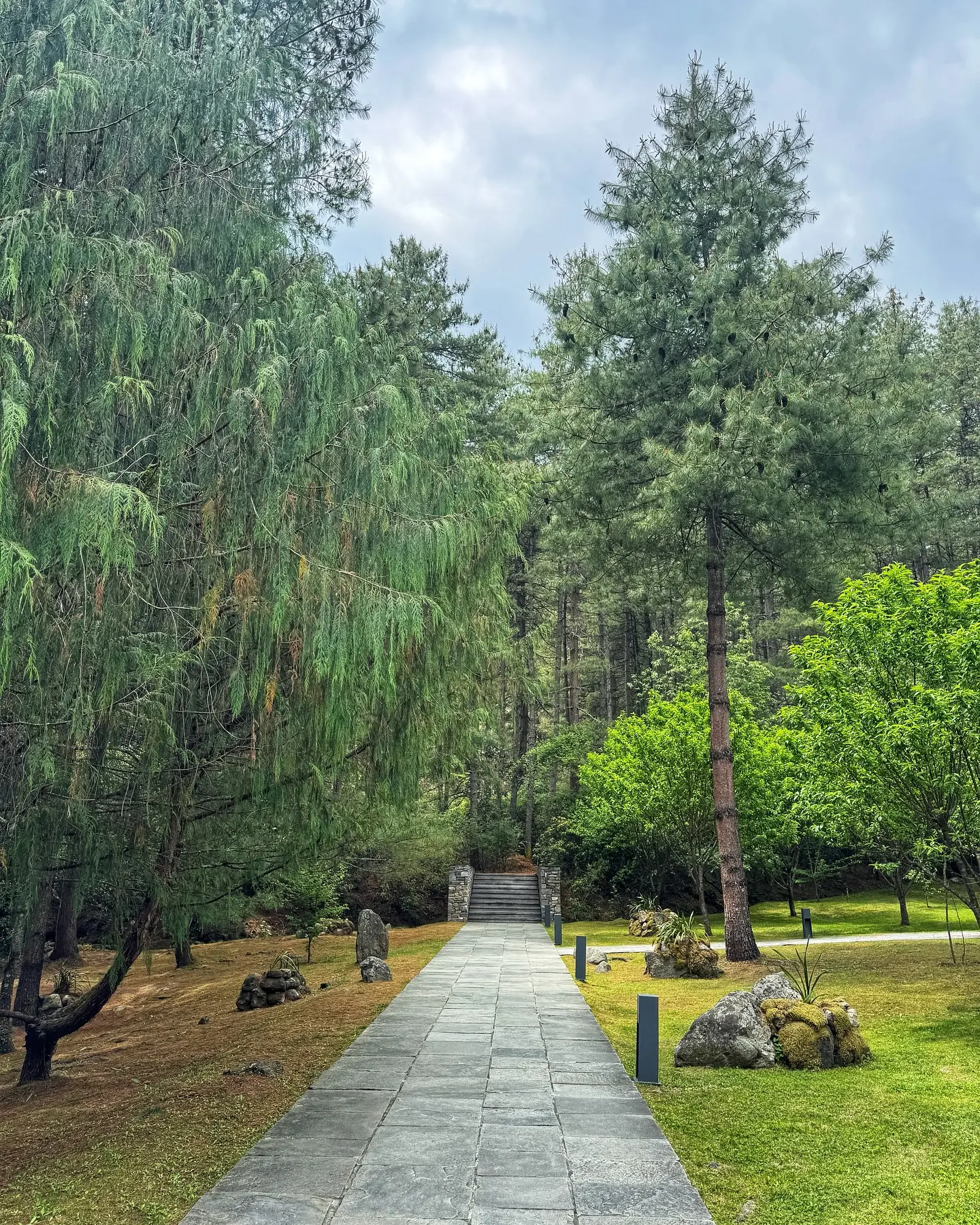 Rupali Dean’s Bhutan Escape: Mountain Breeze and Tall Trees