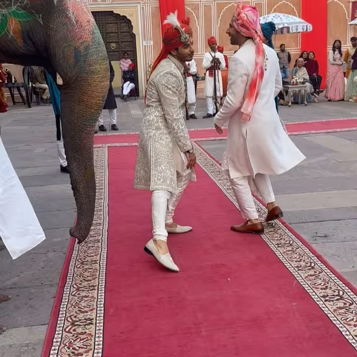 Show Tops Global Charts With Elephant Surprise