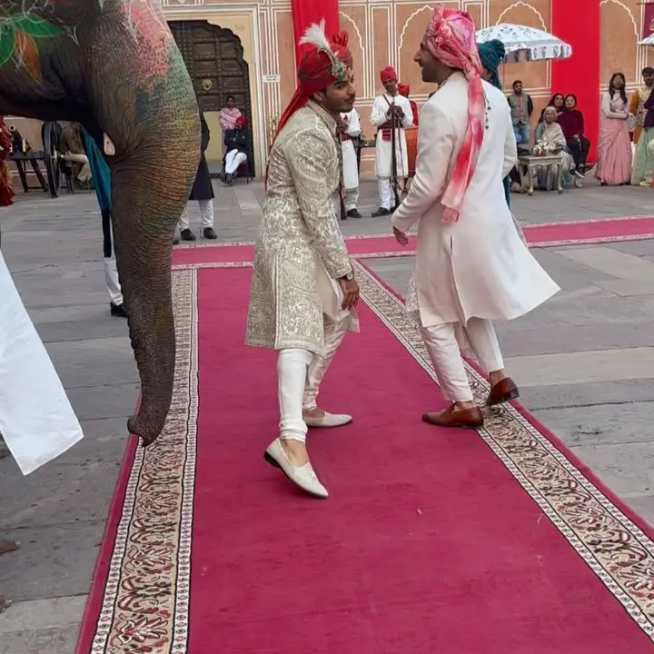 Show Tops Global Charts With Elephant Surprise