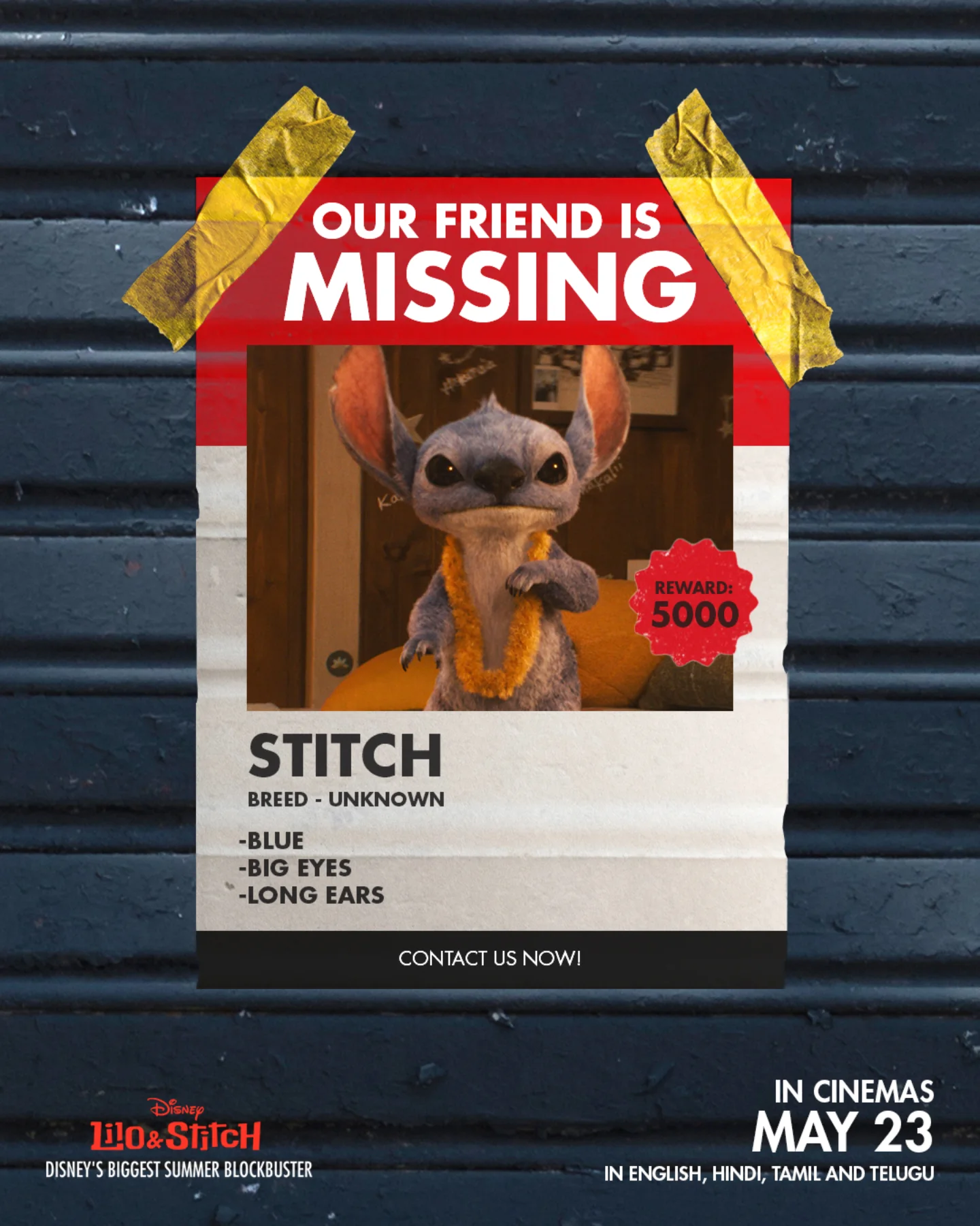 Stitch Steals Spotlight in Lilo & Stitch Release Walt Disney Pictures India teases the mischief of Stitch ahead of the May 23 cinema debut.