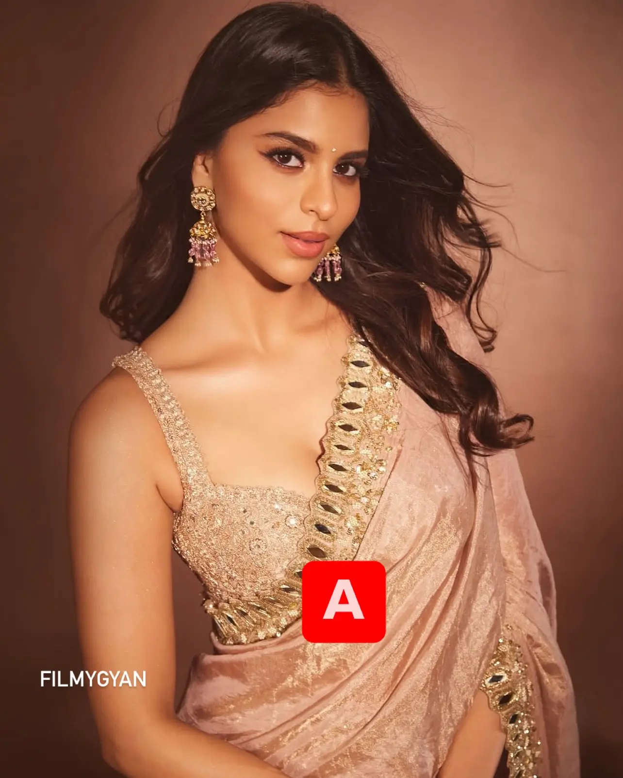 Suhana Vs Ananya: Saree Style Face-Off Sparks Debate