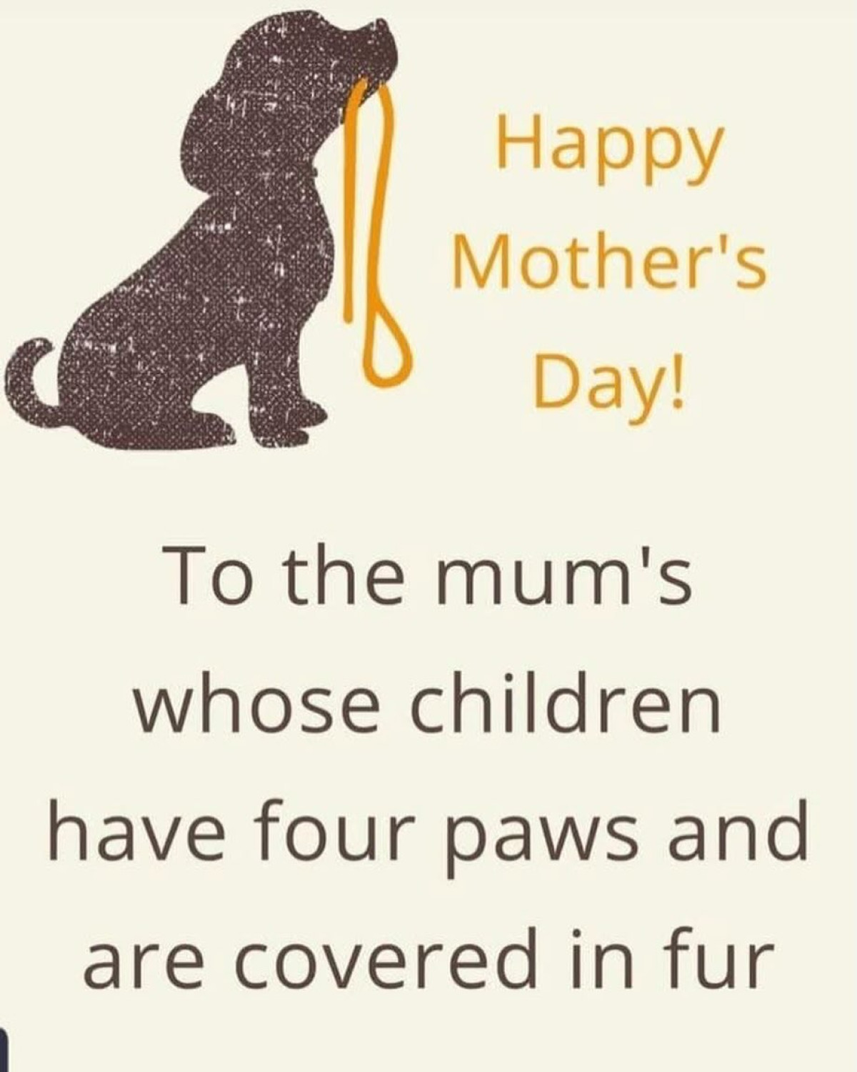 Acclaimed actress Swastika Mukherjee posts a heartfelt tribute to pet moms this Mummy Day.