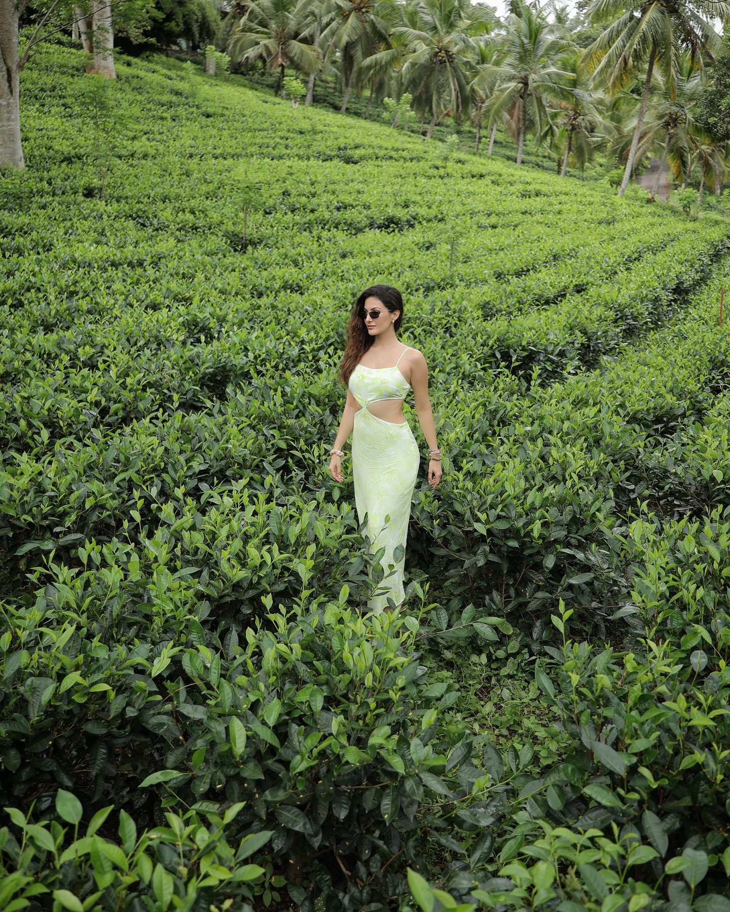 Tea Time Travels: Amyra Dastur In Sri Lanka
