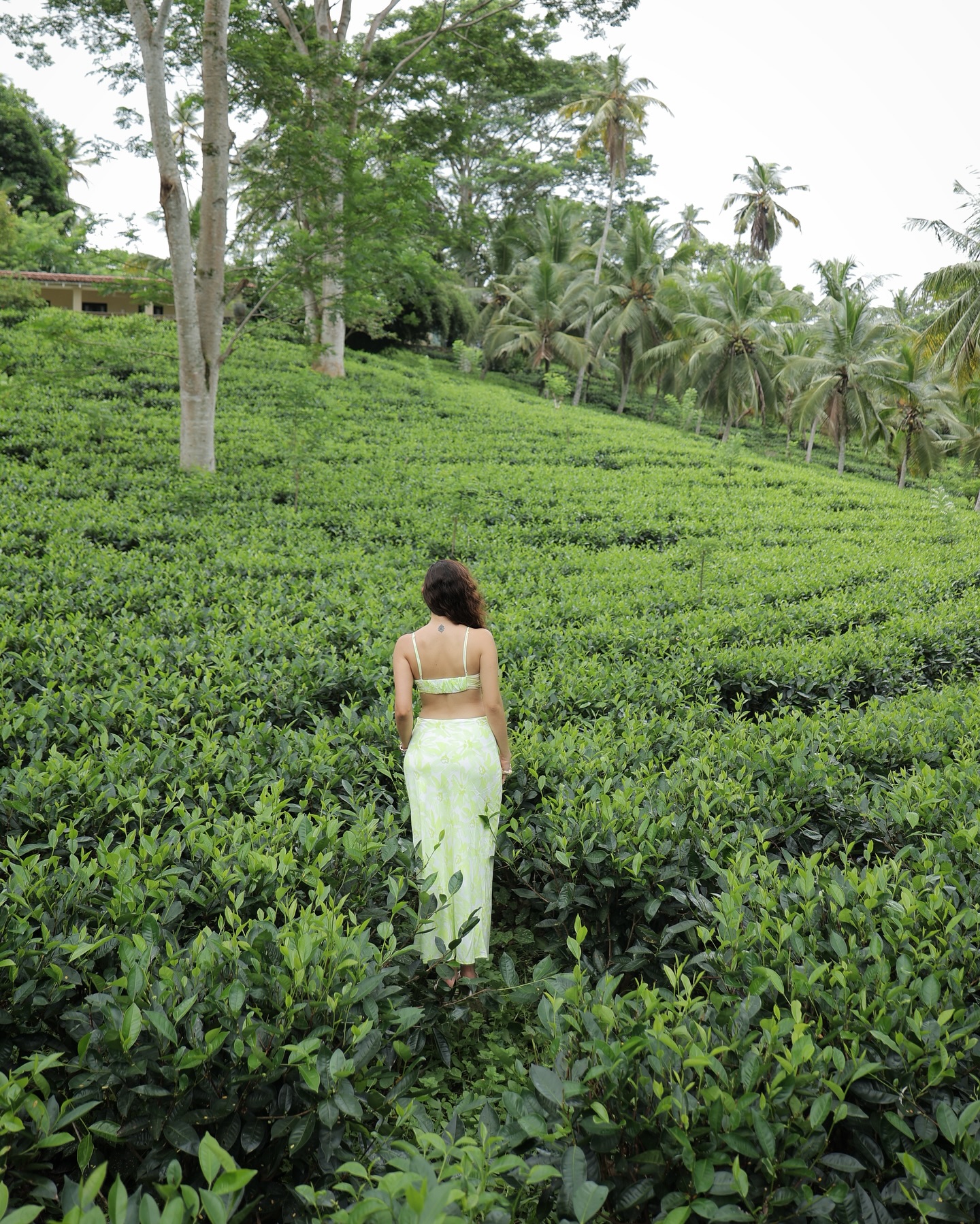 Tea Time Travels: Amyra Dastur In Sri Lanka