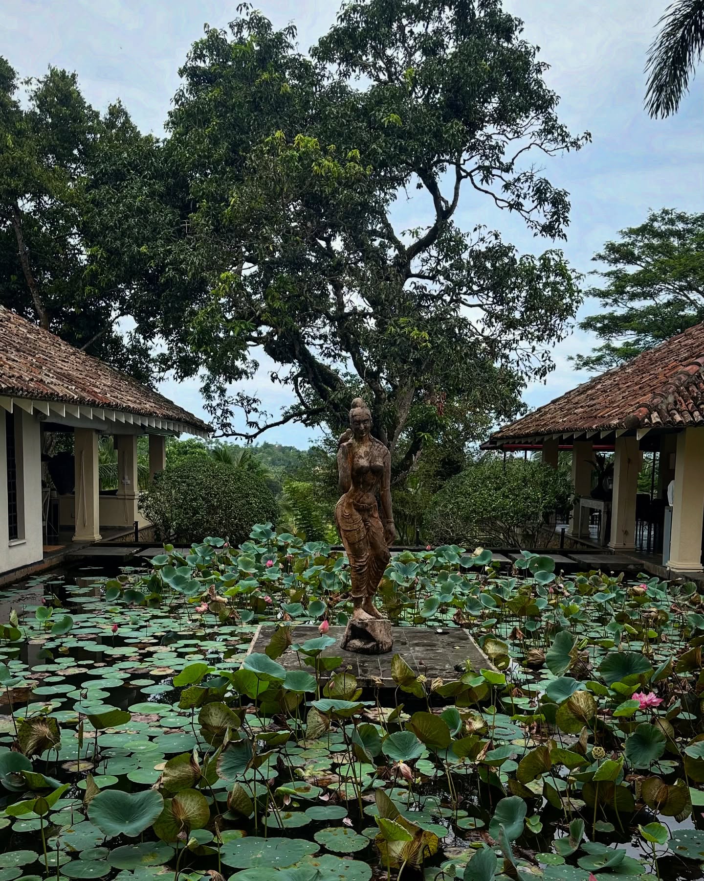 Tea Time Travels: Amyra Dastur In Sri Lanka