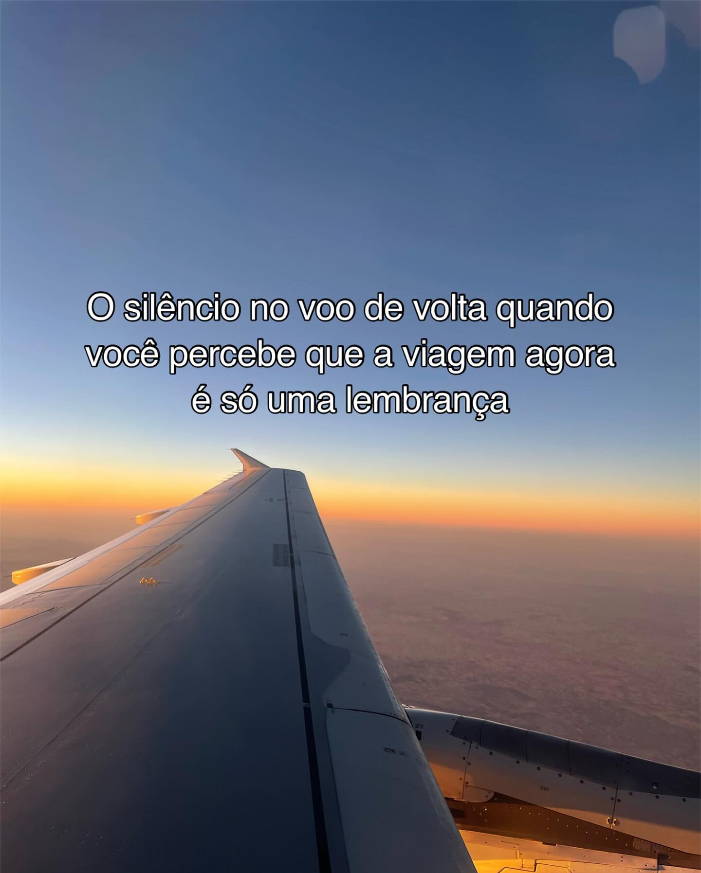 Travel Smart With Perrengue Chique Insurance