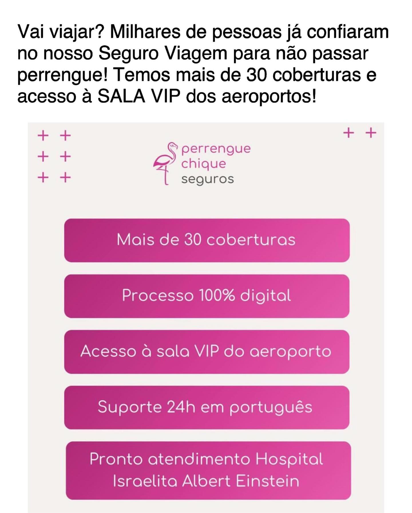 Travel Smart With Perrengue Chique Insurance