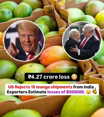 realted-article-image
