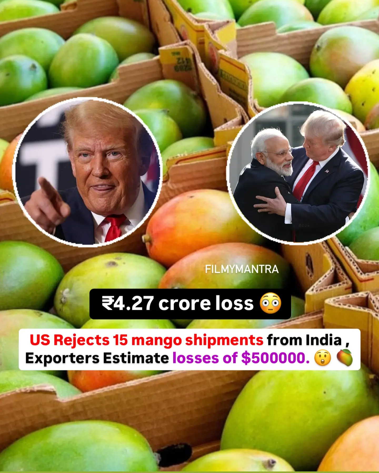 US Rejects Mango Shipments Amid Documentation Errors Rejection of mango shipments sparks $500K loss amid PPQ203 certificate issues in Mumbai!!