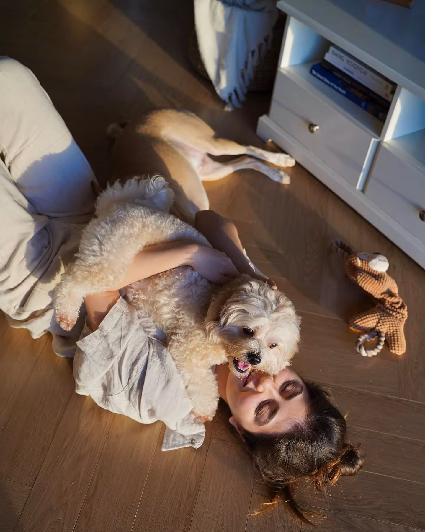 Aditi Bhatia’s Pet-Friendly Home Transformation