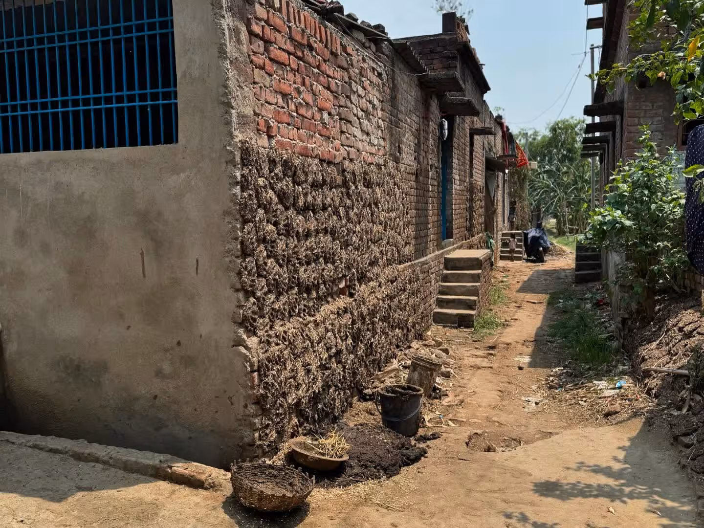 Bihar Casting: Surrendering To The Process